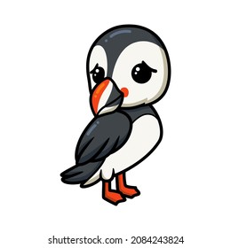 Cute little puffin bird cartoon