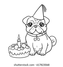 Cute little pug dog celebrates birthday with a delicious cake