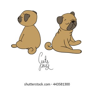 Cute little pug dog. A pet. Isolated objects on white background.Vector illustration