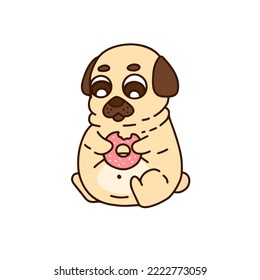Cute little pug eating a donut.