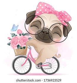 Cute little pug riding a bicycle