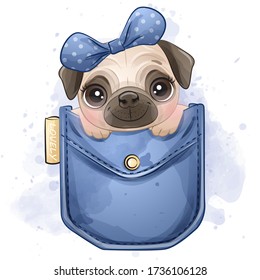 Cute little pug sitting inside the pocket