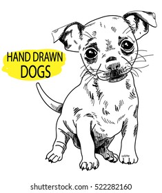 Droll Chihuahua Cute Drawing