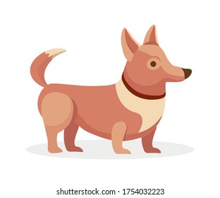 Cute little puppy dog pet vector flat cartoon illustration isolated on white background. Domestic funny and amusing animal, the portrait of a dog for decoration or design.