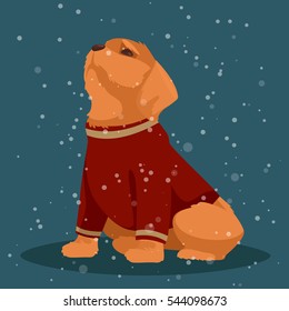 Cute little puppy in a sweater. He is sitting and looking up at the snow. Vector cartoon illustration.