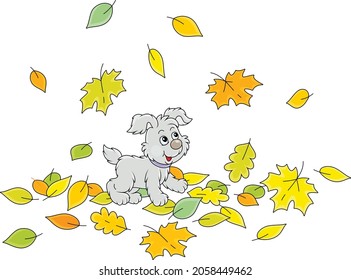 Cute little puppy walking on colorful fallen autumn leaves around a park, vector cartoon illustration isolated on a white background