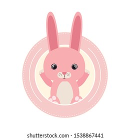 cute little rabbit animal character vector illustration design