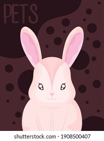 cute little rabbit animal pet dotted background vector illustration