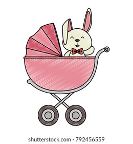 cute little rabbit in baby cart
