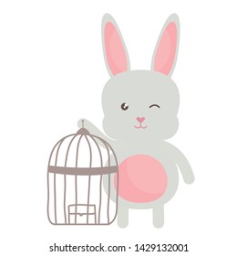 cute little rabbit with cage bird