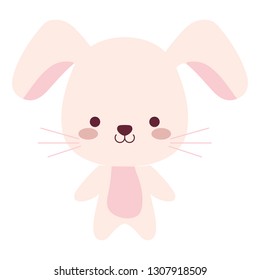 cute and little rabbit character