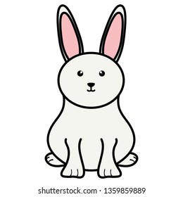 cute little rabbit character