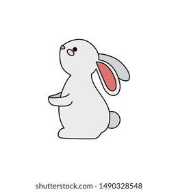 cute and little rabbit character