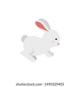 cute and little rabbit character