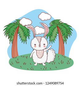 cute little rabbit character in the camp