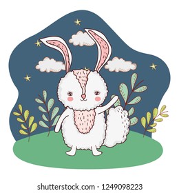 cute little rabbit character in the camp