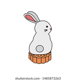 cute and little rabbit with flower wooden