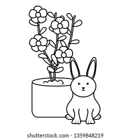 cute little rabbit with house plant