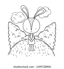 cute little rabbit in the landscape