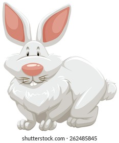 Cute little rabbit on a white background