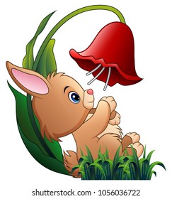 Cute little rabbit playing with a flower on white background