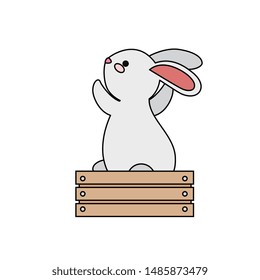 cute and little rabbit in wooden box character