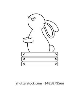 cute and little rabbit in wooden box character
