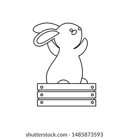 cute and little rabbit in wooden box character