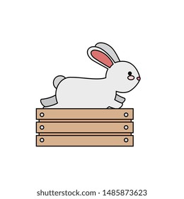 cute and little rabbit in wooden box character