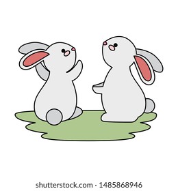 cute and little rabbits couple in grass characters
