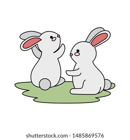 cute and little rabbits couple in grass characters