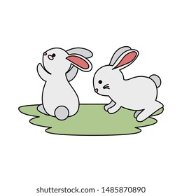 cute and little rabbits couple in grass characters