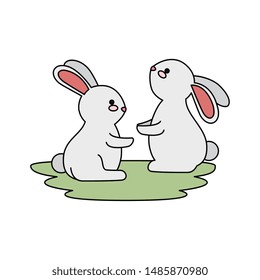 cute and little rabbits couple in grass characters