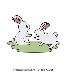 cute and little rabbits couple in grass characters