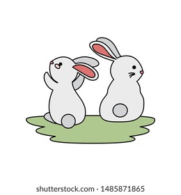 cute and little rabbits couple in grass characters