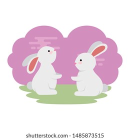 cute and little rabbits couple in grass characters