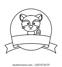 cute little raccoon character