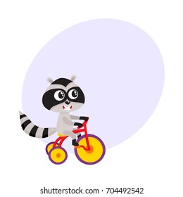 Cute little raccoon character riding bicycle, tricycle, cycling, cartoon vector illustration with space for text. Little baby raccoon animal character riding bike, bicycle, tricycle