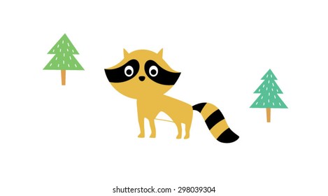 cute little raccoon in pine tree forest