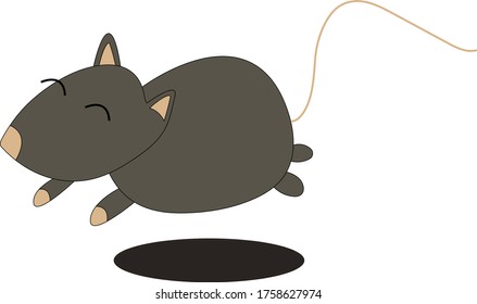 Pequeño vector de salto de rata
