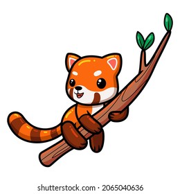 Cute Little Red Panda Cartoon On Tree Branch