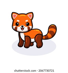 Cute Little Red Panda Cartoon