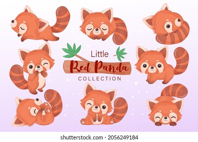 Pequeña colección de clipart de panda rojo lindo en la ilustración de acuarela	
