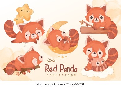 Cute little red panda clipart collection in watercolor illustration	
