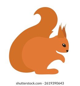 Cute little red squirrel with a big tail