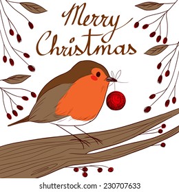 Cute little robin bird holding red bauble with beak in Christmas day