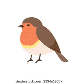 A cute little Robin. simple hand drawn style bird illustration