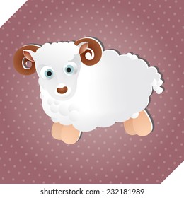 Cute little sheep