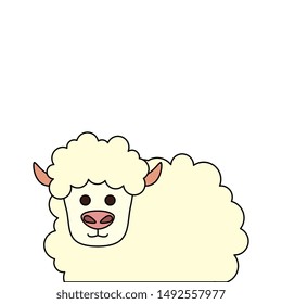 cute little sheep animal farm