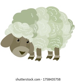 cute little sheep from the farm, flat, isolated object on a white background, vector illustration, eps